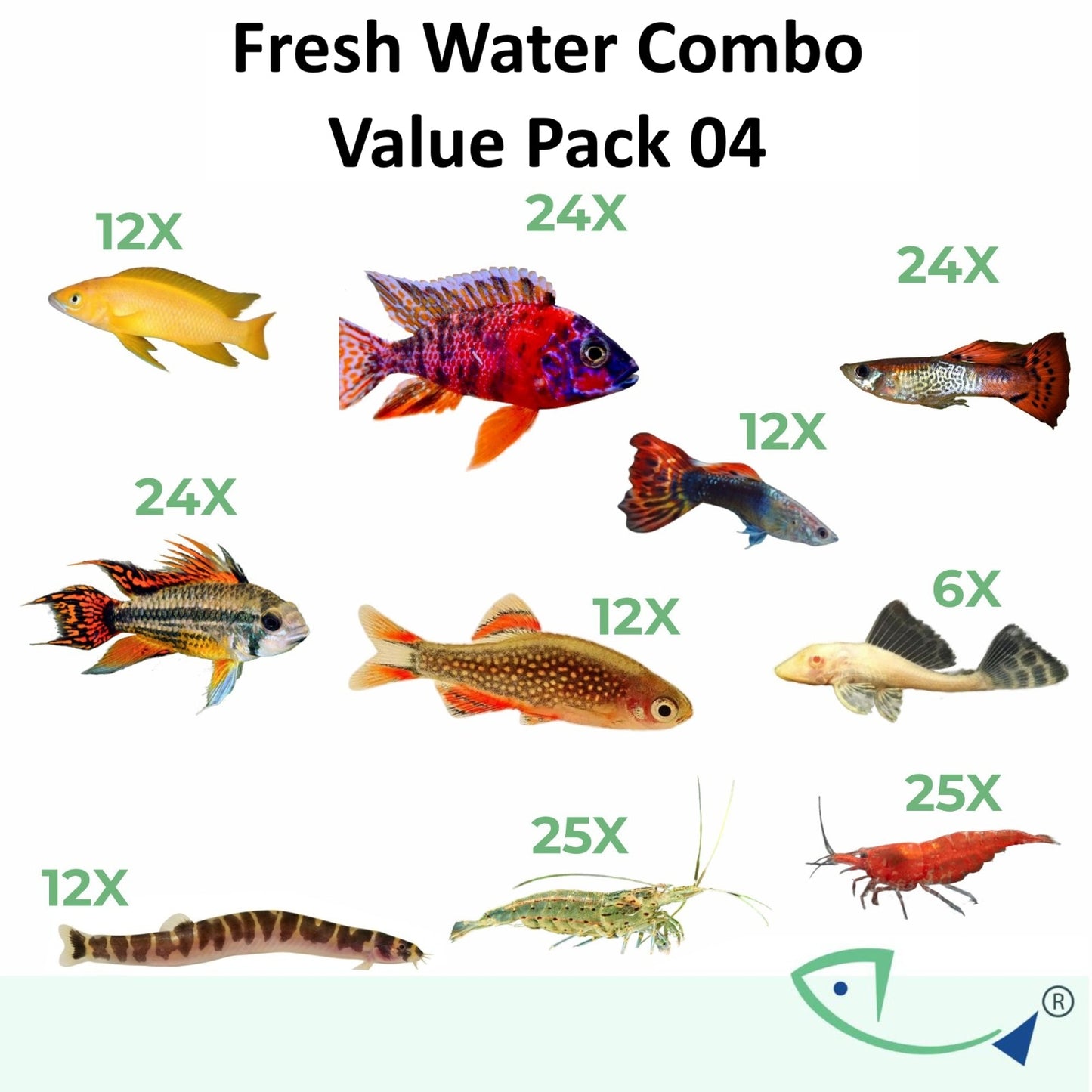 Fresh water combo-Value Pack 04