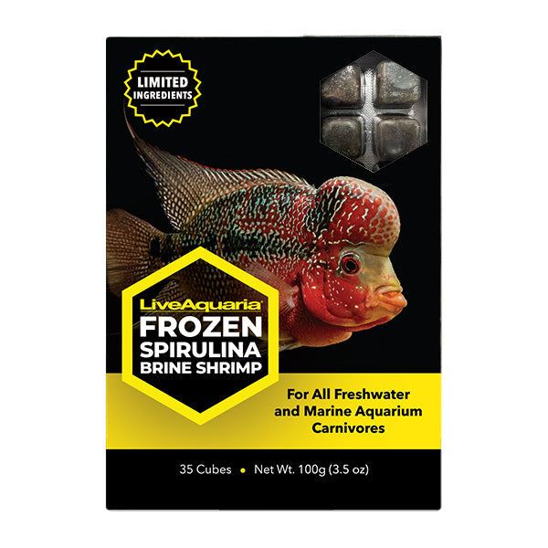 Frozen Spirulina Brine Shrimp - 3.5 oz Cubes - 10 Pack - 10 Pack