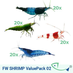 FW SHRIMP ValuePack 02