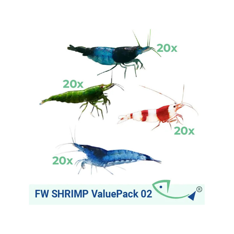 FW SHRIMP ValuePack 02