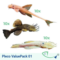 Pleco ValuePack 01
