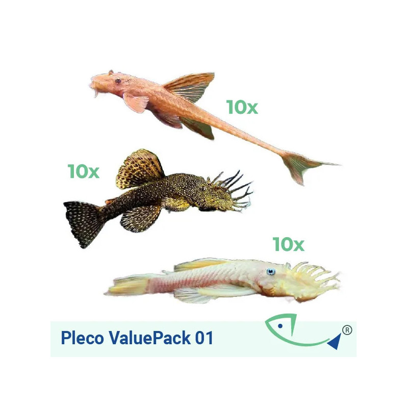Pleco ValuePack 01