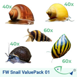FW SNAIL ValuePack 01