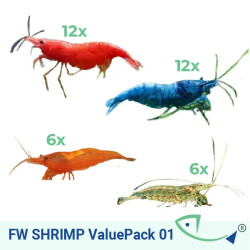FW SHRIMP Value Pack 01