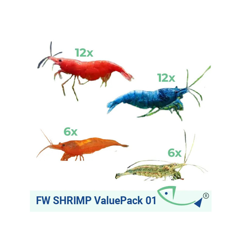 FW SHRIMP Value Pack 01