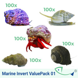 Marine Invert ValuePack 01