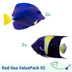 Red Sea ValuePack 02