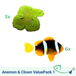Anemon And Clown ValuePack 1
