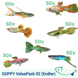 GUPPY ValuePack 02 (Endler)
