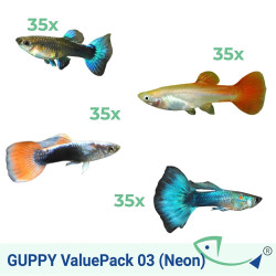 GUPPY ValuePack 03 (Neon)