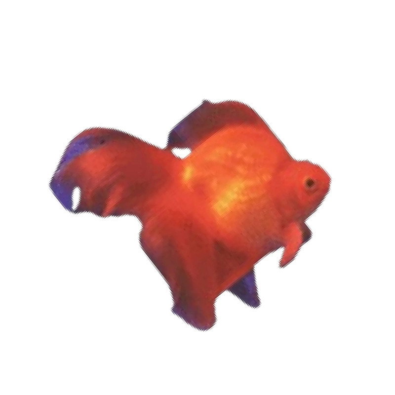 Jumbo Assorted Goldfish