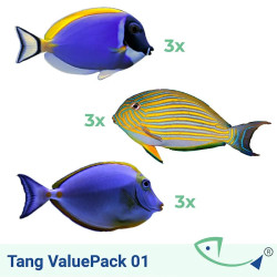 Tang ValuePack 1