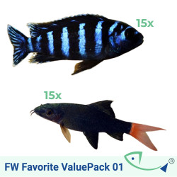 Freshwater Favorite ValuePack 01