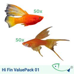 Hi Fin ValuePack 01