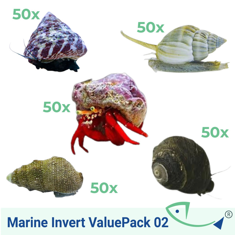 Marine Invert ValuePack 02
