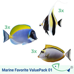 Marine Favorite ValuePack 01
