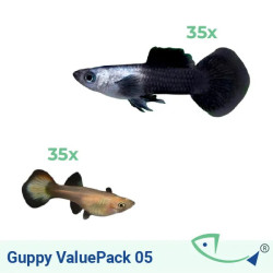 Guppy ValuePack 05 (Panda)