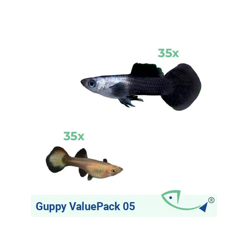 Guppy ValuePack 05 (Panda)