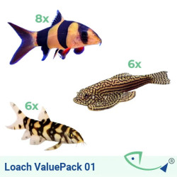 LOACH ValuePack 01