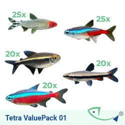 TETRA ValuePack 01