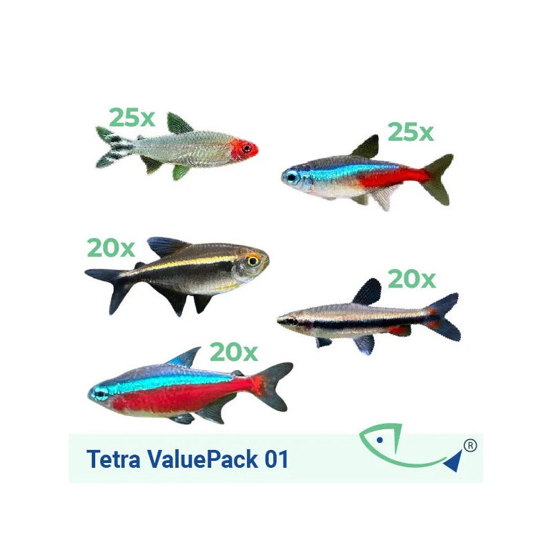 TETRA ValuePack 01