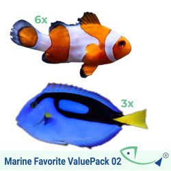 Marine Favorite ValuePack 02