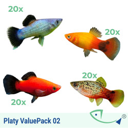 Platy ValuePack 02