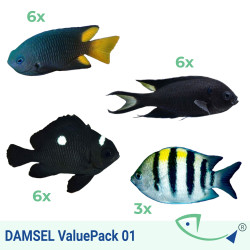 Damsel ValuePack 1