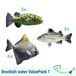 Brackish water ValuePack 1