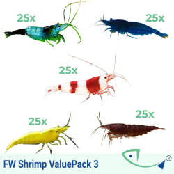 FW SHRIMP ValuePack 03