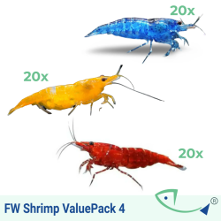 FW SHRIMP Value Pack 04