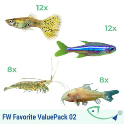 Freshwater Favorite ValuePack 02