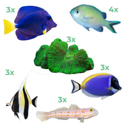 Marine Mega ValuePack 01