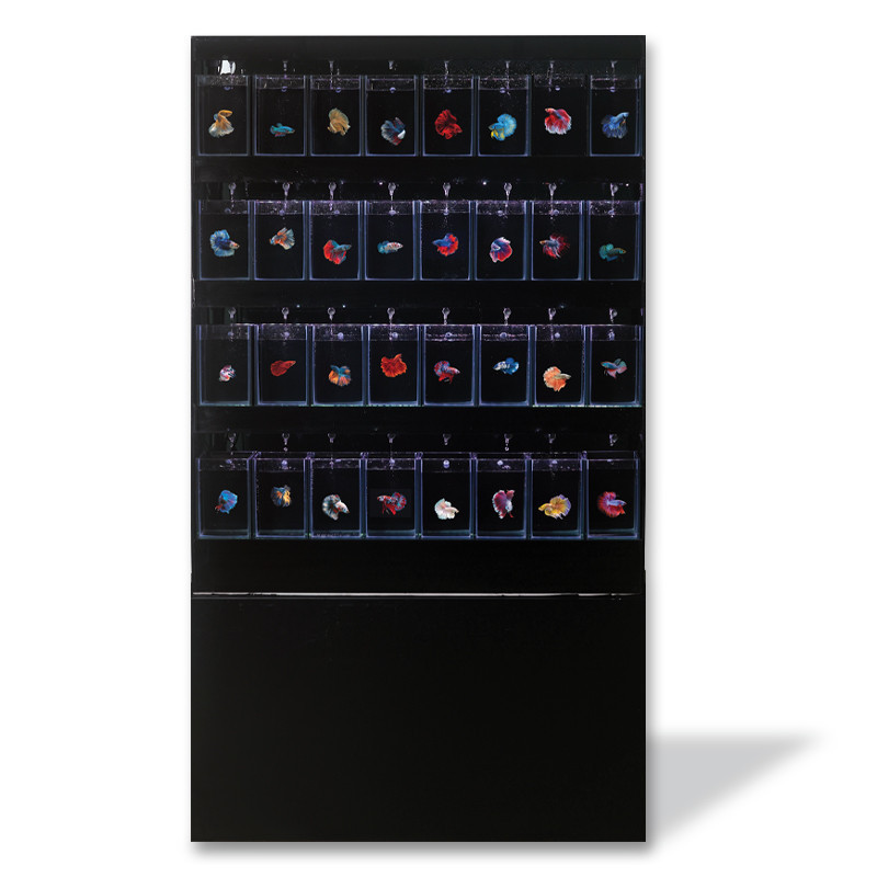 Pre-order BETTA DISPLAY RACK