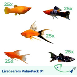 Livebearers ValuePack 01