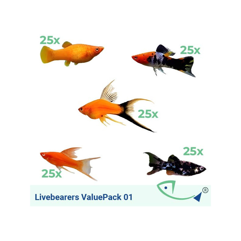 Livebearers ValuePack 01