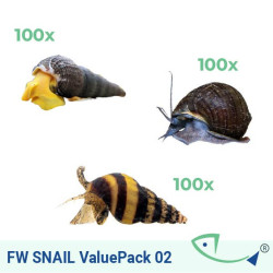 FW SNAIL ValuePack 02