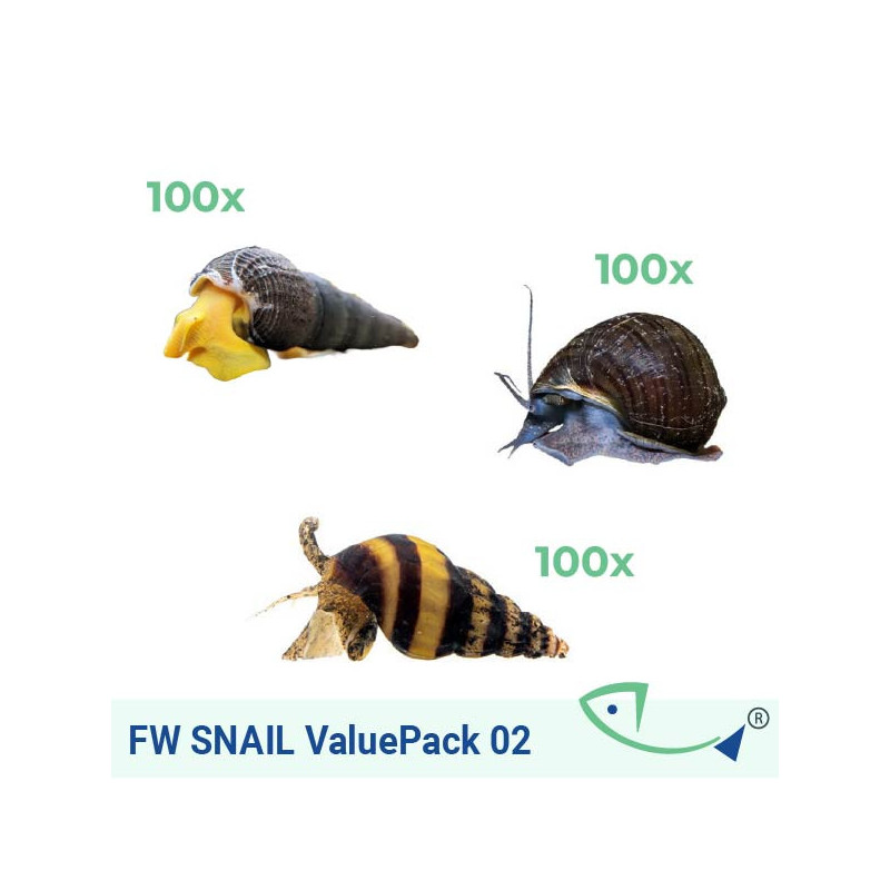 FW SNAIL ValuePack 02
