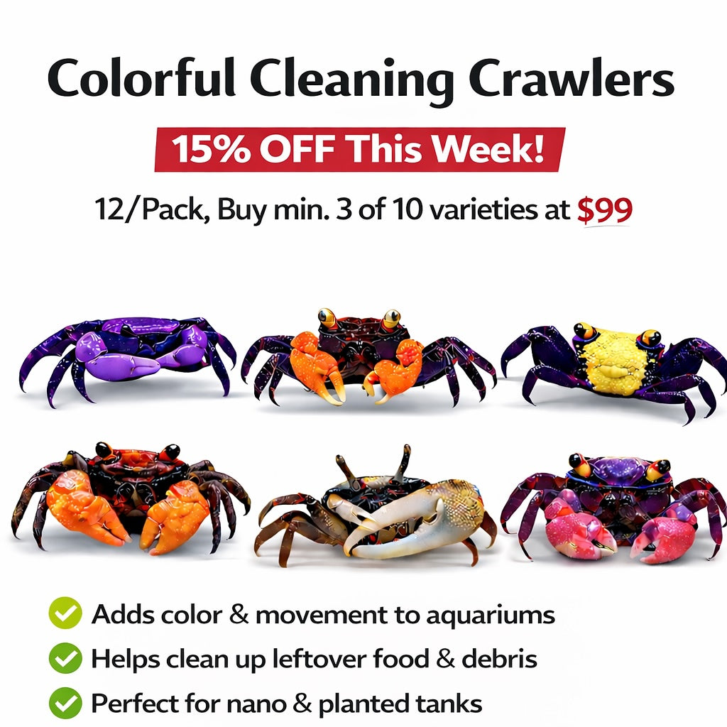 Colorful Cleaning Crawlers - 15% Off
