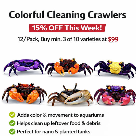 Colorful Cleaning Crawlers - 15% Off