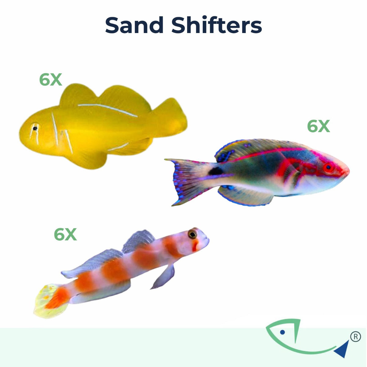 Sand Shifters