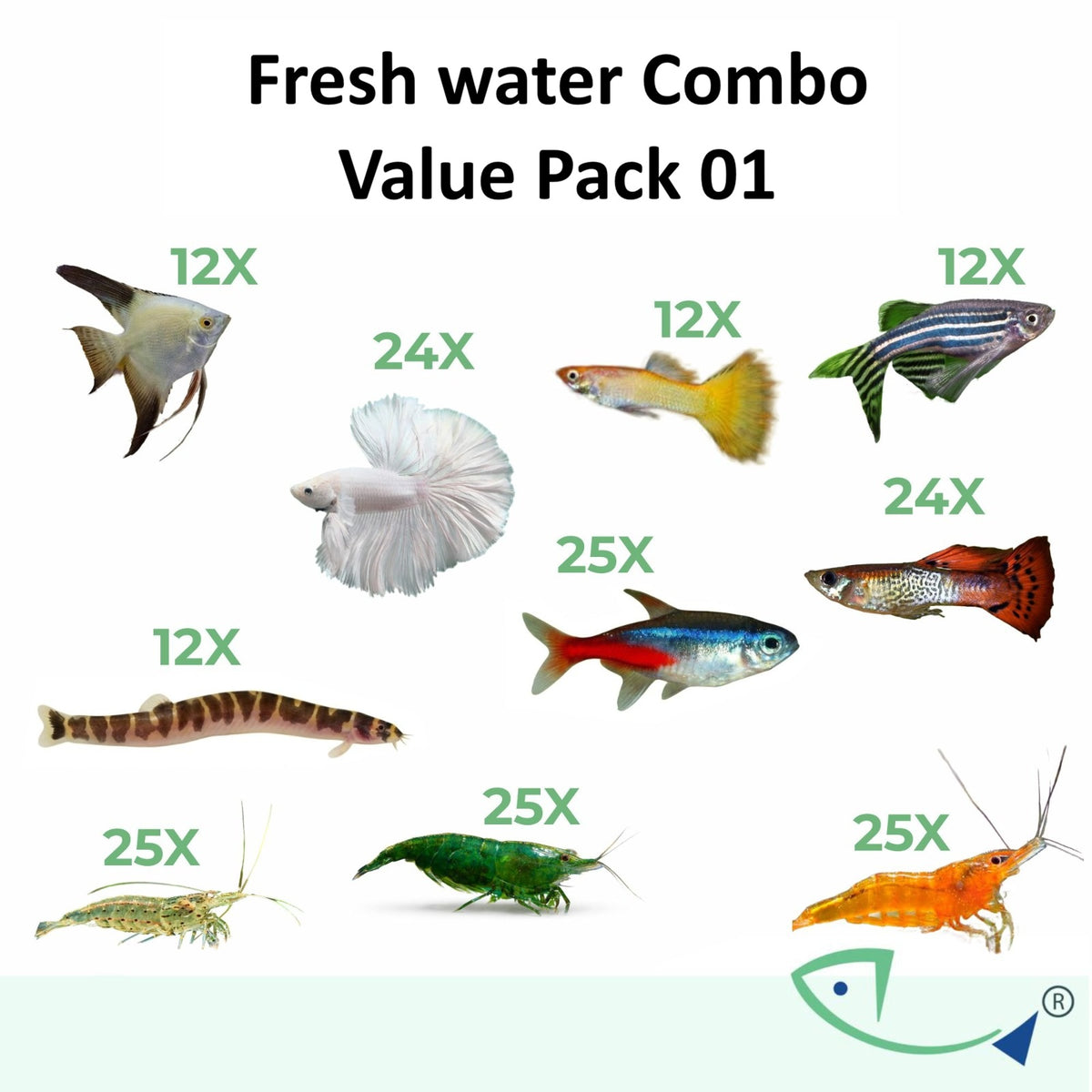 Fresh Water Combo -Value Pack 01