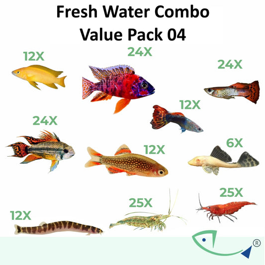 Fresh water combo-Value Pack 04