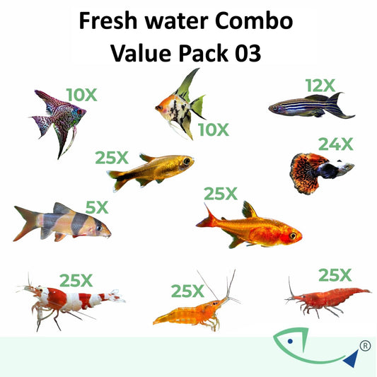 Fresh water Combo-Value Pack 03