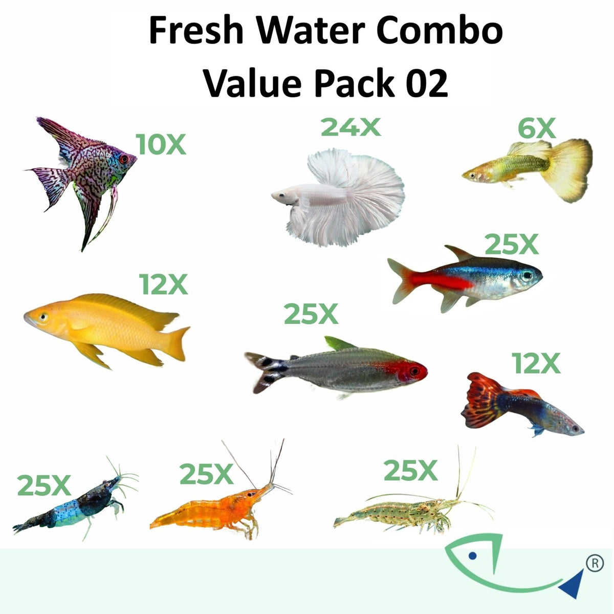Fresh water combo -Value Pack 02