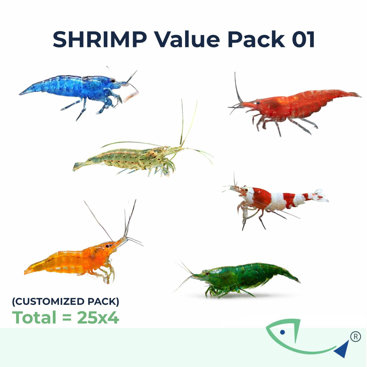 Fresh water  Shrimp 4X Value Pack