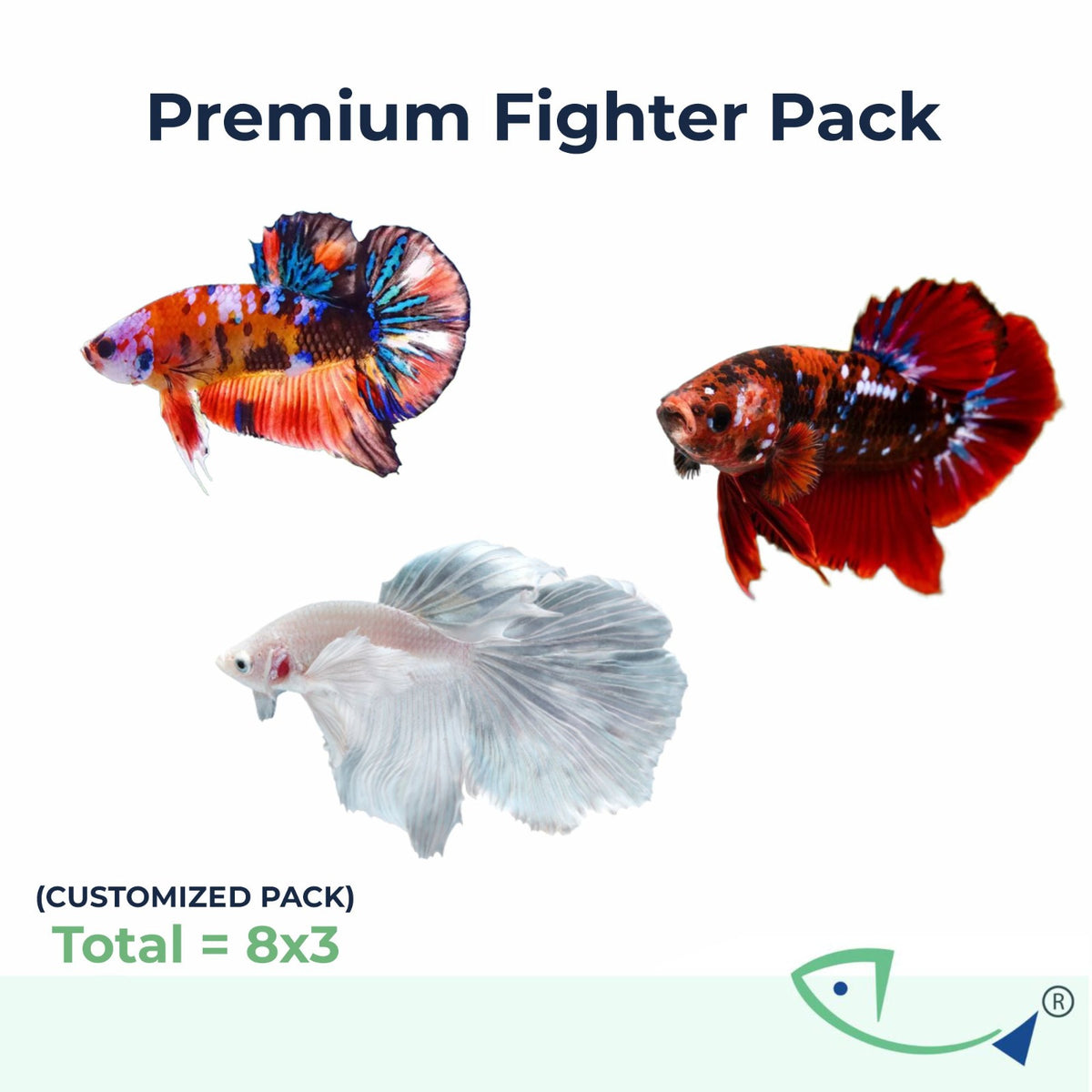 Premium Fighter Pack