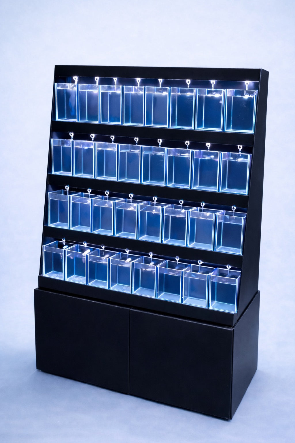 RETAIL BETTA DISPLAY