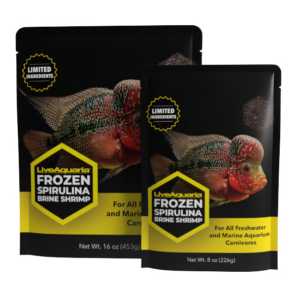 Frozen Spirulina Brine Shrimp - Flatpacks - 10 Pack