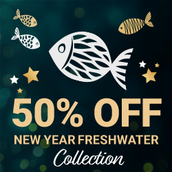 New Year Freshwater 